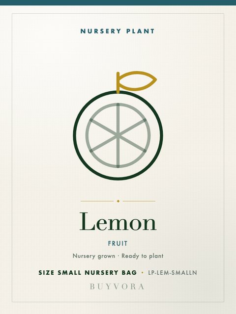 Lemon Plant Small Nursery Bag
