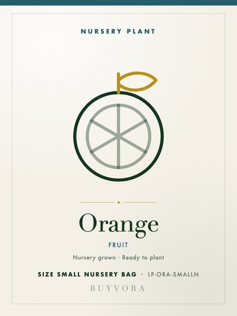 Orange Plant Small Nursery Bag