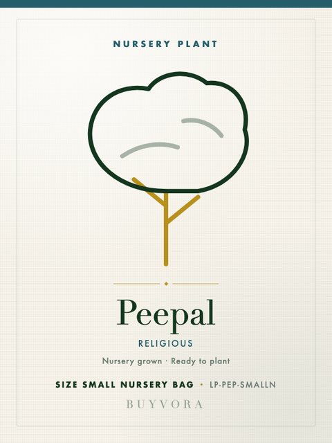 Peepal Sapling Small Nursery Bag