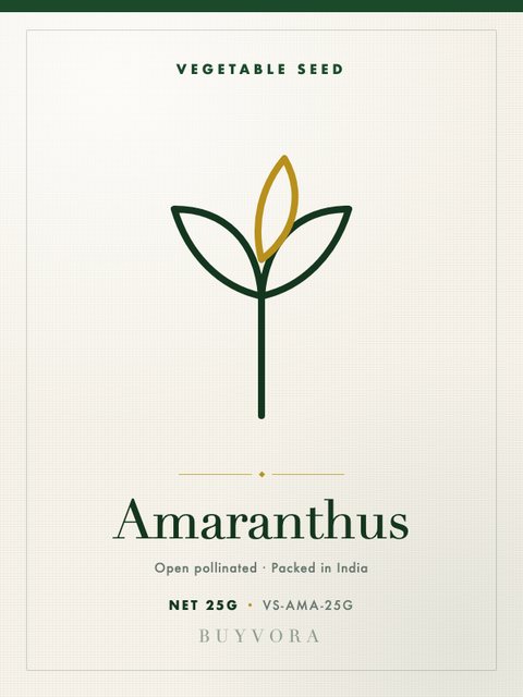 Amaranthus Seeds 25g