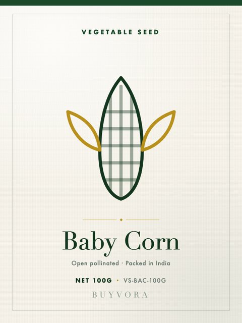 Baby Corn Seeds 100g