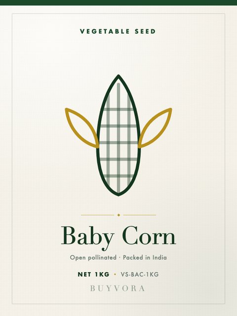 Baby Corn Seeds 1kg