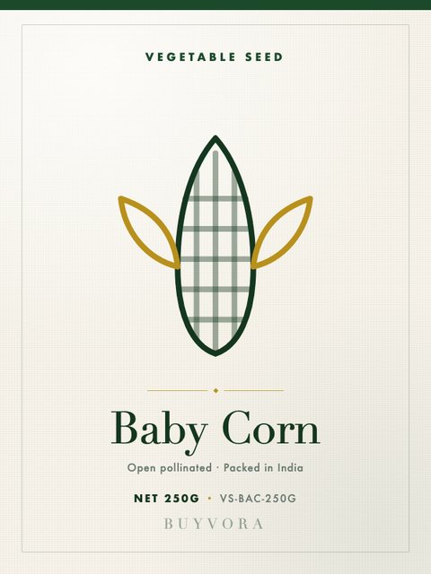 Baby Corn Seeds 250g