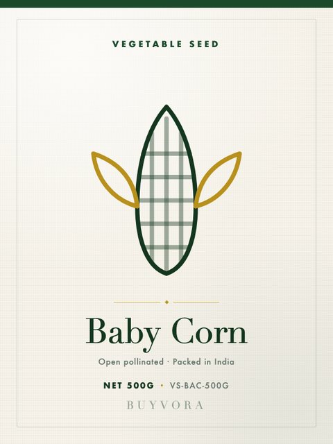 Baby Corn Seeds 500g