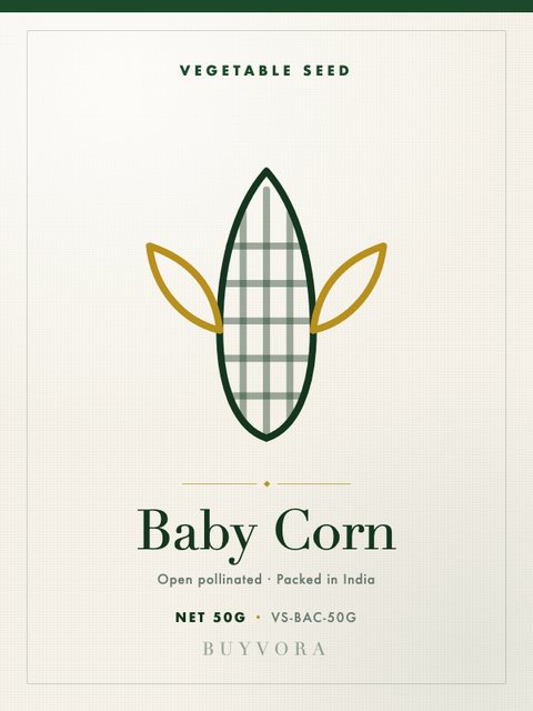 Baby Corn Seeds 50g