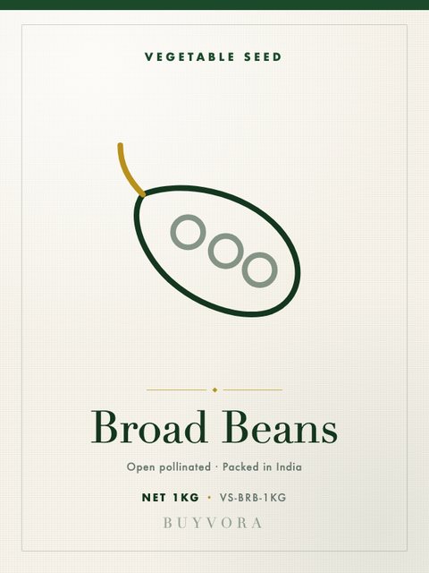 Broad Beans Seeds 1kg