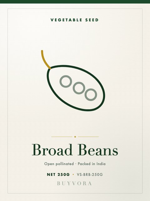 Broad Beans Seeds 250g