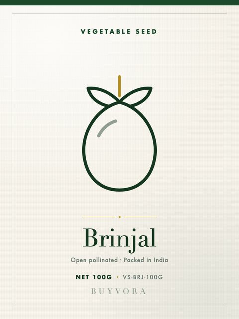 Brinjal Seeds 100g