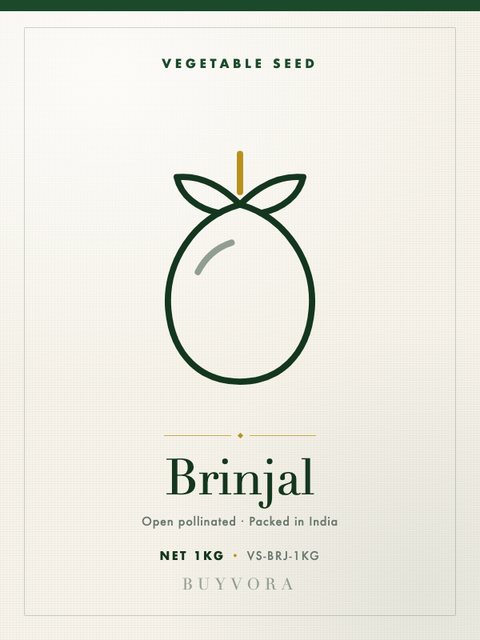 Brinjal Seeds 1kg