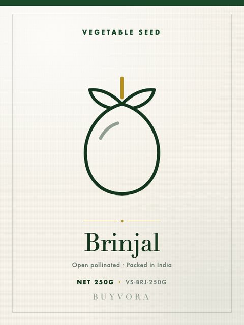 Brinjal Seeds 250g