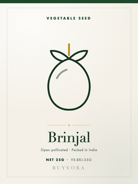 Brinjal Seeds 25g