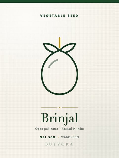 Brinjal Seeds 50g