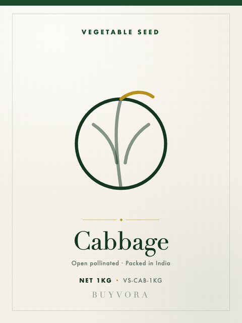 Cabbage Seeds 1kg