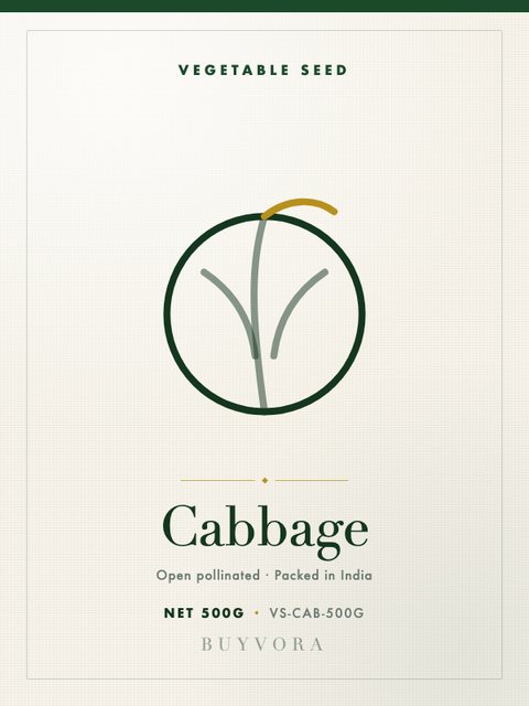 Cabbage Seeds 500g