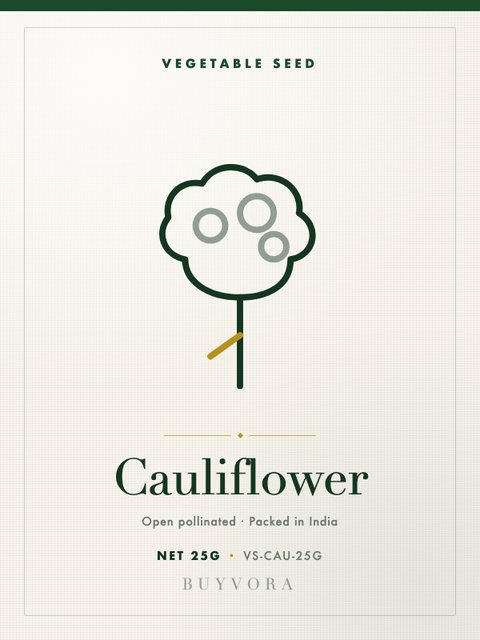 Cauliflower Seeds 25g