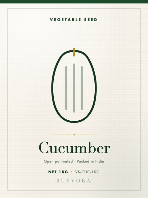 Cucumber Seeds 1kg