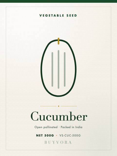 Cucumber Seeds 500g