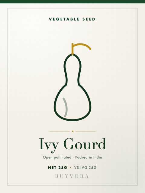 Ivy Gourd Seeds 25g