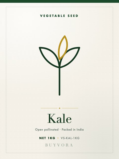 Kale Seeds 1kg