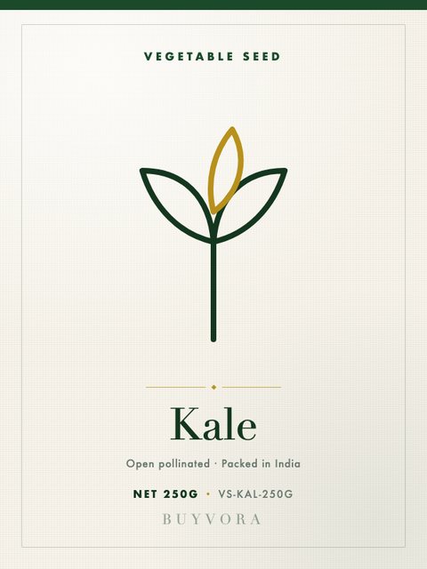 Kale Seeds 250g