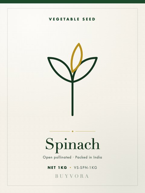 Spinach Seeds 1kg