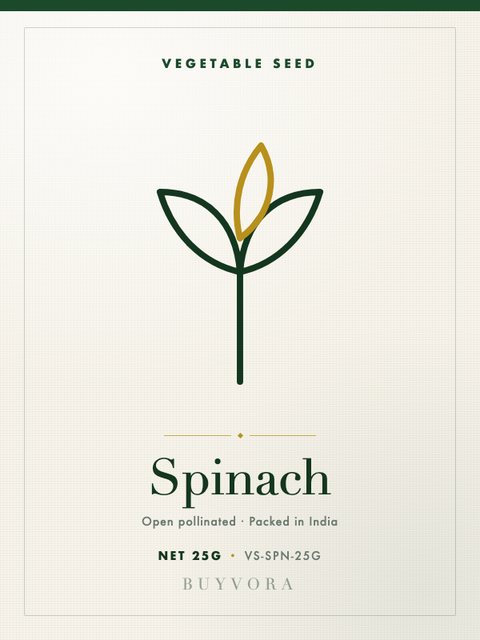 Spinach Seeds 25g