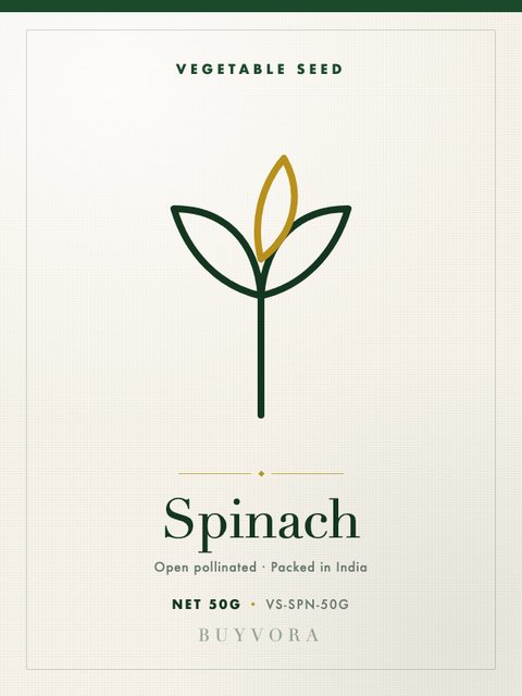 Spinach Seeds 50g