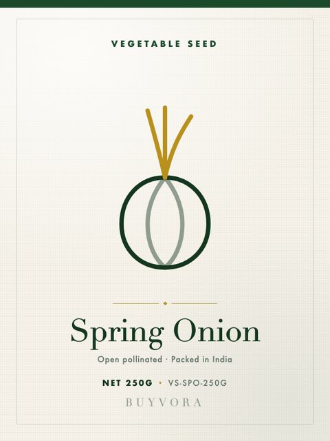 Spring Onion Seeds 250g