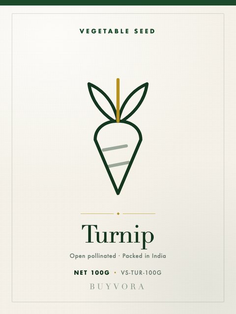 Turnip Seeds 100g