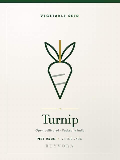 Turnip Seeds 250g