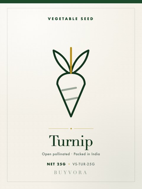 Turnip Seeds 25g