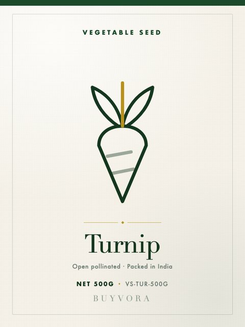 Turnip Seeds 500g