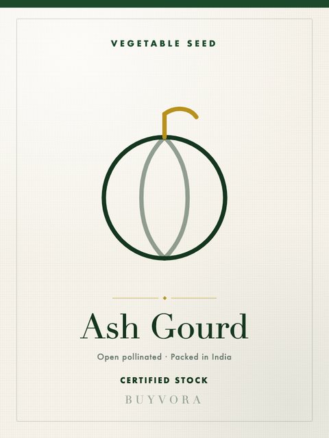 Ash Gourd