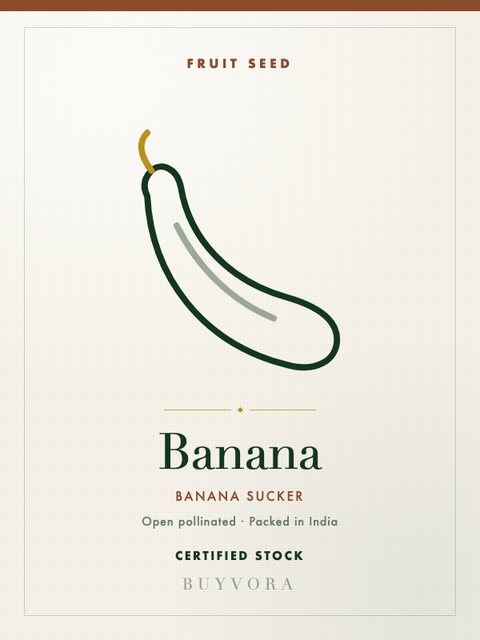 Banana Sucker