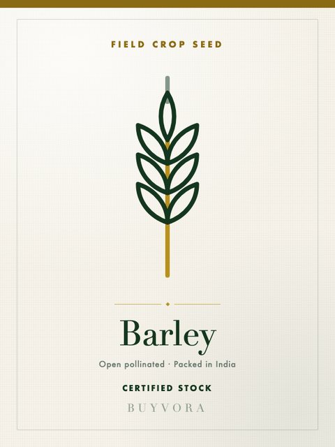 Barley