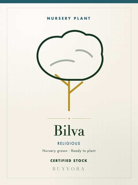 Bilva Plant Medium