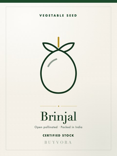 Brinjal
