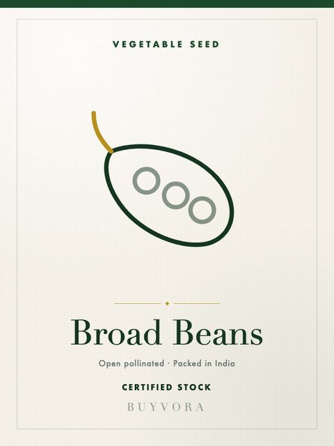 Broad Beans