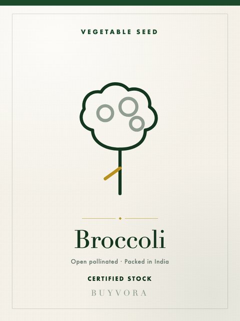 Broccoli