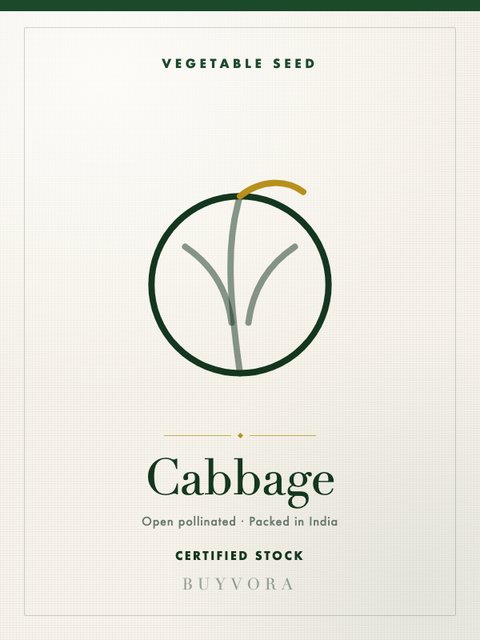 Cabbage