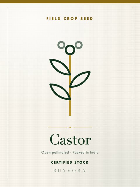 Castor
