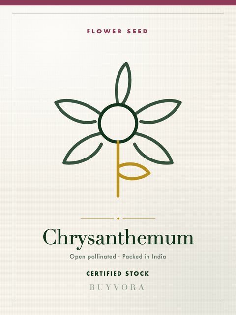 Chrysanthemum