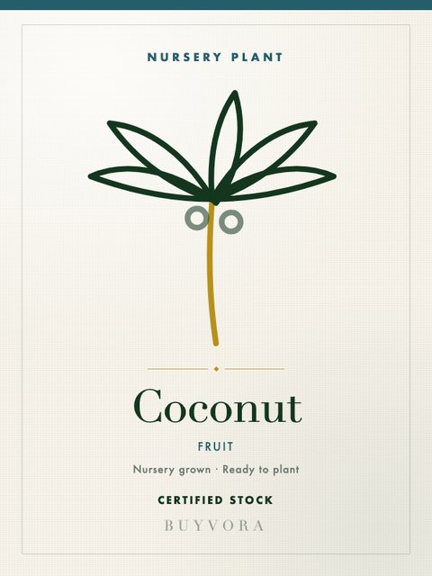 Coconut Plant Medium