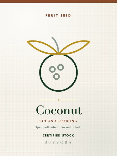 Coconut Seedling