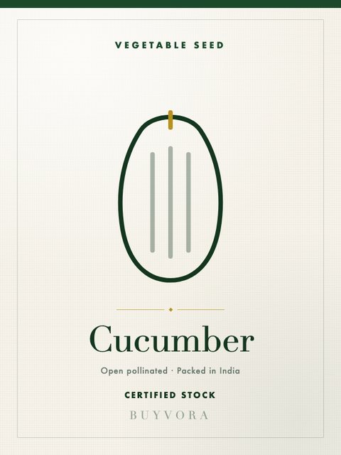 Cucumber