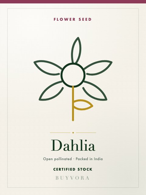 Dahlia