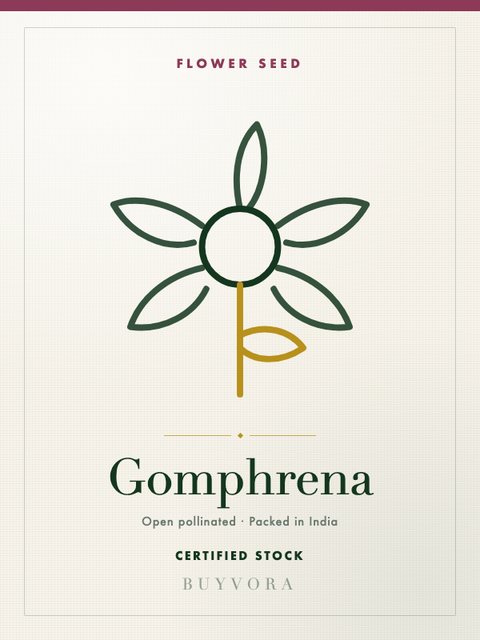 Gomphrena