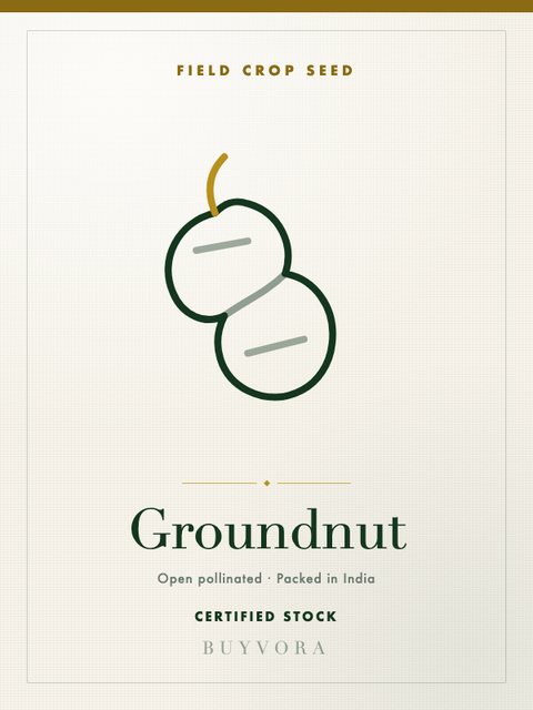 Groundnut