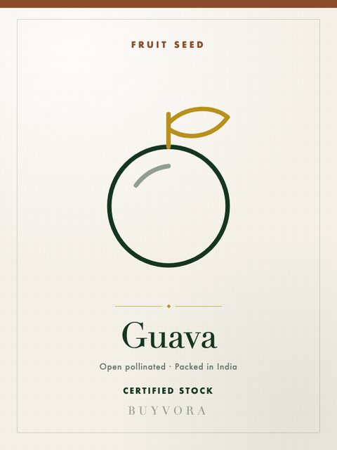 Guava