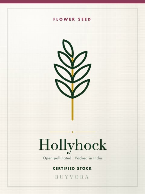 Hollyhock